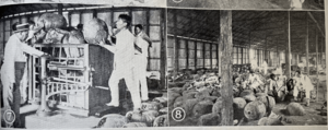 Archivo:Almacén de goma en Cachuela Esperanza, Bolivia