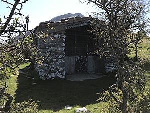 Archivo:Atxondo ermita de Santa Bárbara de Larrano