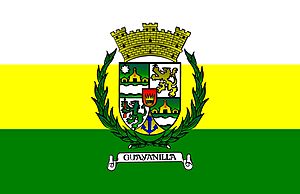 Archivo:Bandera de Guayanilla
