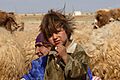 Bedu shepherd family near Palmyra, Syria - 3
