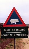 Archivo:Beware of hippopotamus