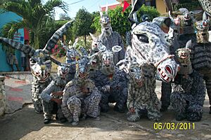 Archivo:Burro Corcoveón
