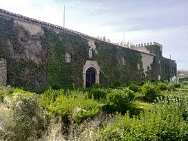 Casa Palacio del Barón de Guía Real(1).jpg