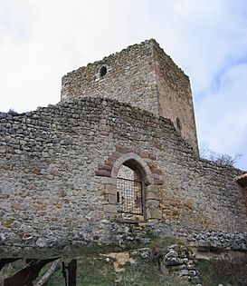 CastilloRebolledodelaTorre.JPG