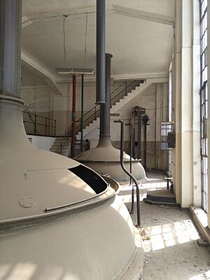 Archivo:Cerveceria CCU Limache - maquinaria en zona de produccion (1)