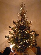 Archivo:Christmas tree - Budapest 2012.12.24