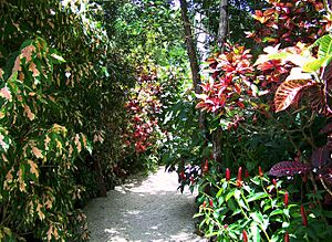 Archivo:Color garden trail QEII botanic park