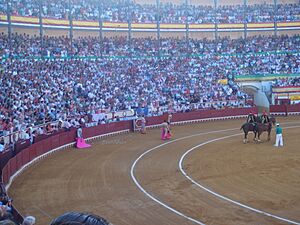 Archivo:Corrida de toros del 12.08.2007, aspecto de los tendidos