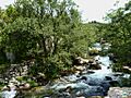 Cotobade-Rio Almofrey60 (4740962405)