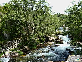 Río Almofrey para Niños