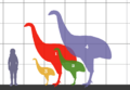 Dinornithidae SIZE 01