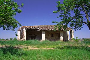 Archivo:Ermita de Santa Juliana-Ventas Blancas-20103