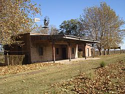 Estación Arévalo.jpg