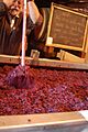 Fermentation tank and cap management Smith-Madrone
