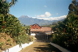 Archivo:Finca El Platanillo 1