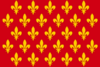 Flag of Prato.svg