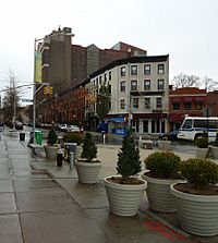 Archivo:Fort Greene Brooklyn NY assorted photos near Fulton Street 7 streets and planters