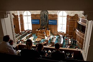 Archivo:Graensehindringsdebat i Folketinget