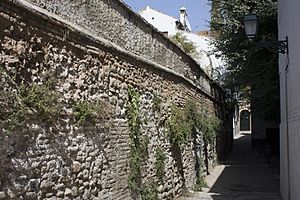 Archivo:Granada-Albaicín-Muralla (Placeta Capellanes)-20110920