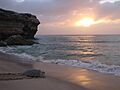Green trurtle at ras al jinz oman