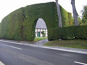 Archivo:Höfen hecke1