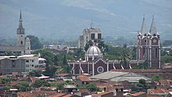 IMG 6242.jpg