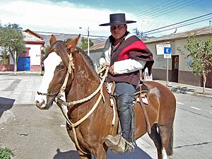 Archivo:Joven de Vicuña, Chile, vestido de huaso para las celebraciones conmemorativas del Combate Naval de Iquique