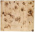 Leonardo da Vinci - Flower study - WGA12851