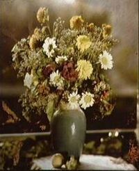 Archivo:Lippmann photo flowers