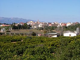 Vista de la localidad.