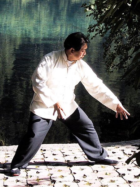 Meister Lam in Jiuzhaigou2