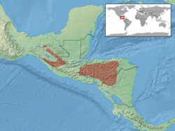 Distribución de A. moreletii