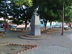 Plaza Bolívar de Tacuato.JPG