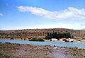Río La Leona