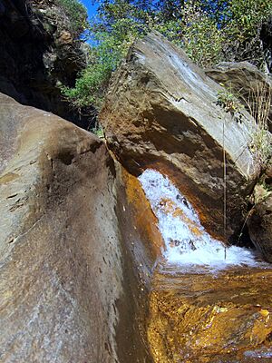 Archivo:Río Paterna 2