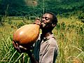 Refreshing palm wine