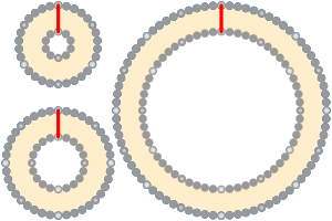 Archivo:String girdling Earth