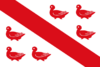 Tinlot vlag.svg