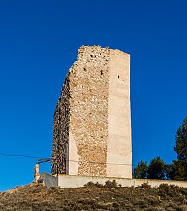 Torre, Ruesca, Zaragoza, España, 2018-04-05, DD 08.jpg