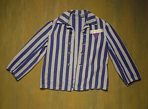 Archivo:Uniforme triangulo purpura