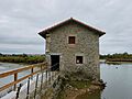 Victoria tide mill