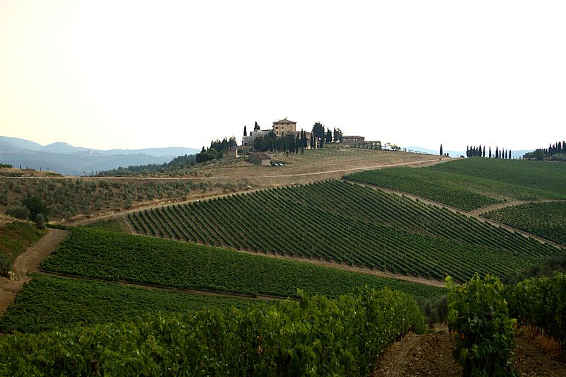 Vineyards in Chianti Country