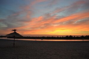 Vista parcial de la Playa Brisol.jpg