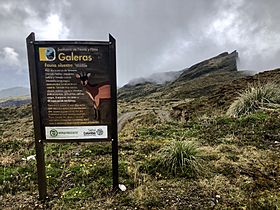 Volcán Galeras (15).jpg