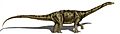 Adamantisaurus mezzalirai 2copia