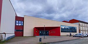 Archivo:Alsasua - Polideportivo Zelandi 2