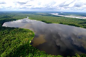 Archivo:Amazonia ecuador