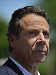 Andrew Cuomo 2014 (cropped)