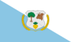 Bandera de Pailaco, Chile.png