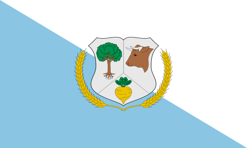 Bandera de Pailaco, Chile